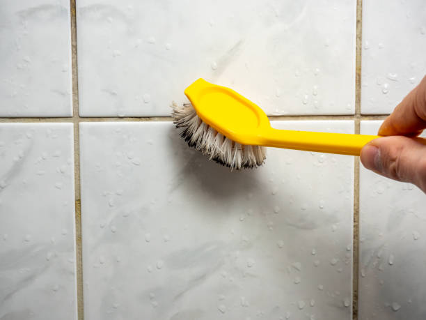 Best Emergency Mold Remediation in Orange Lake, NY